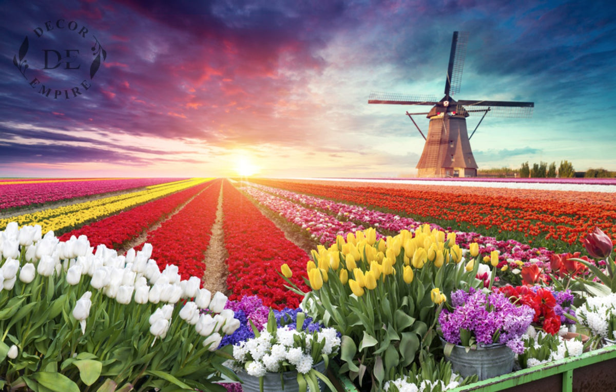 Colourful Tulips and Windmill Wallpaper Mural