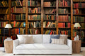 Classic Library Bookshelf Wallpaper Mural WM340078386 for Living Room
