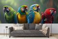 Colorful Parrots Wallpaper Mural WM578733847 for Living Room