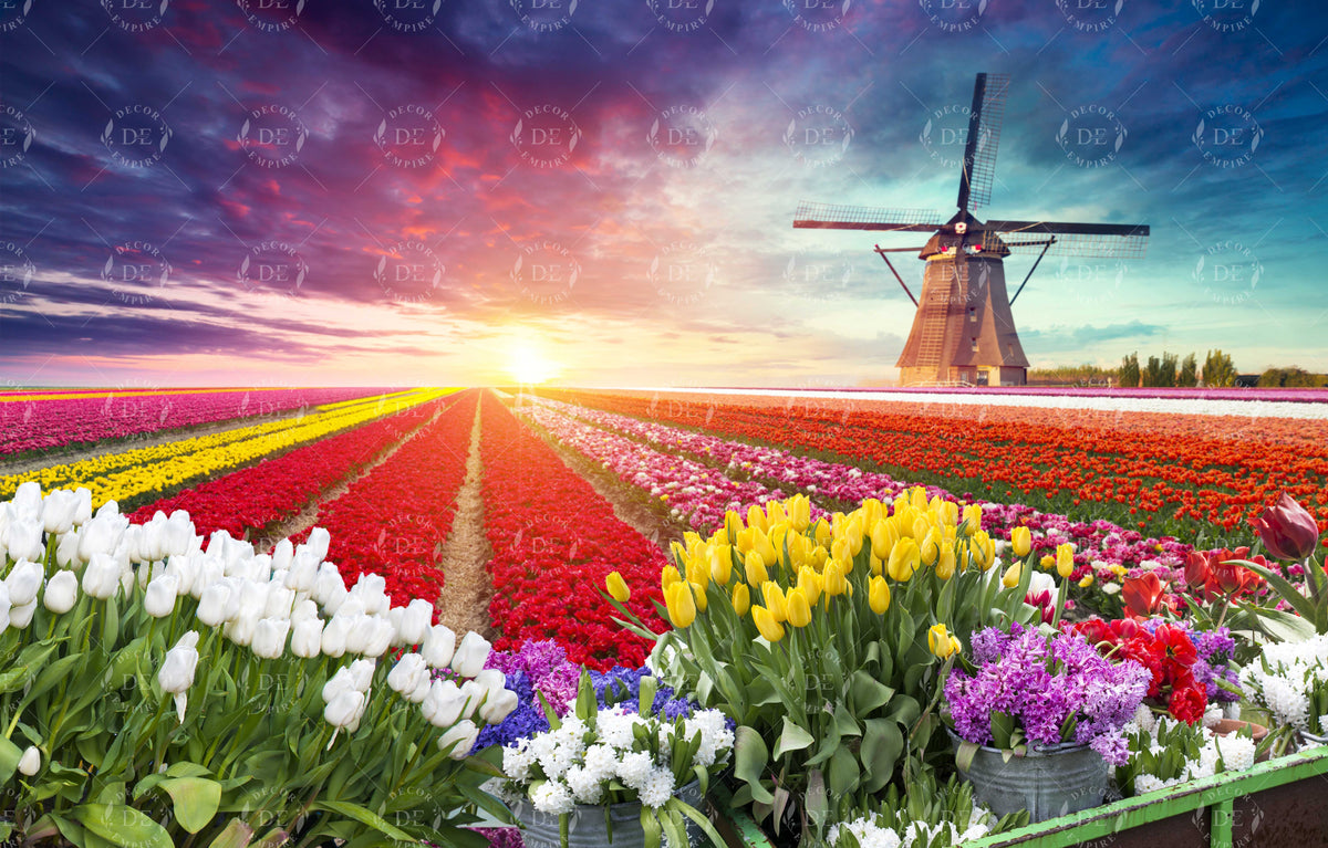 Colourful Tulips and Windmill Wallpaper Mural