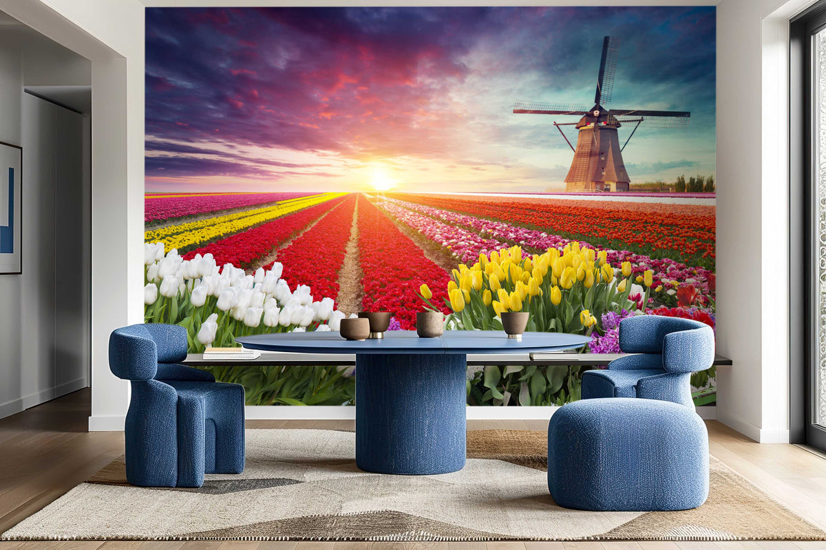 Colourful Tulips and Windmill Wallpaper Mural for Dining Area