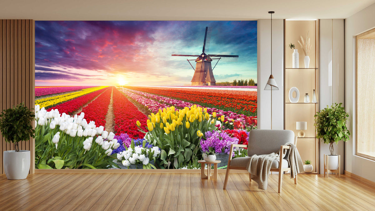 Colourful Tulips and Windmill Wallpaper Mural for Hallway