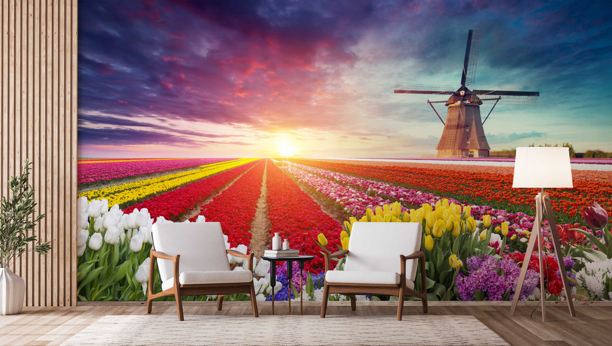 Colourful Tulips and Windmill Wallpaper Mural for Living Area