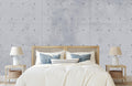 Concrete Texture Wallpaper Mural WM483953307 for Bedroom