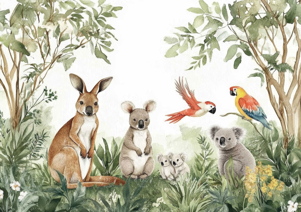 Cute Animals Australia Wallpaper Mural