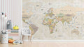 Detailed World Map Wallpaper Mural WM163350683 for Play Area

