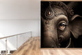 Divine Lord Ganesha Wallpaper Mural WM574764696 for Rumpus Area