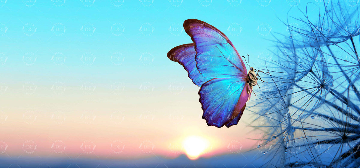 Elegant Butterfly Sunrise Wall Mural