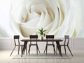 Elegant White Rose Wallpaper Mural for Dining Area