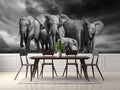 Elephants Family Herd Wallpaper Mural