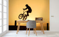 Extreme Bike Jump Wallpaper Mural WM203934758 for Study Area