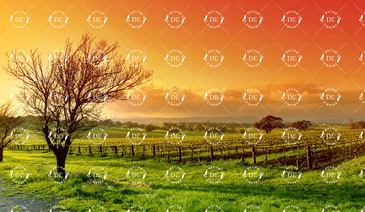 Golden Vineyard Sunset Wallpaper Mural