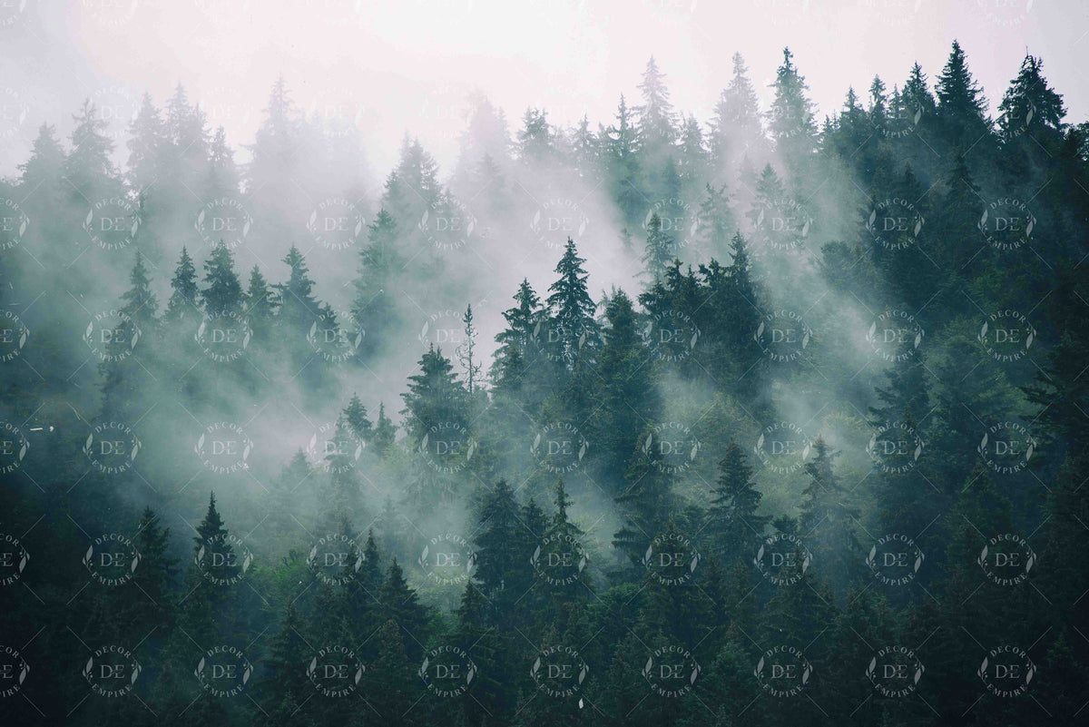 Misty Forest Wallpaper Mural