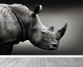 Black and White Rhino Wallpaper Mural