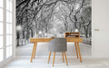 Snowy Central Park Wallpaper Mural WM76696889 for Study Area