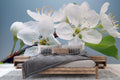Spring Apple Blossom Wallpaper Mural WM644638666 for Bedroom