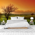 Vineyard Landscape Wallpaper Mural WM1384659 for Bedroom