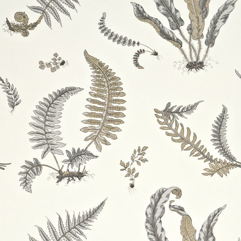 Ferns Wallpaper by GP & Baker - 11417