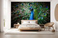 Beautiful Peacock with Feathers Wallpaper Mural