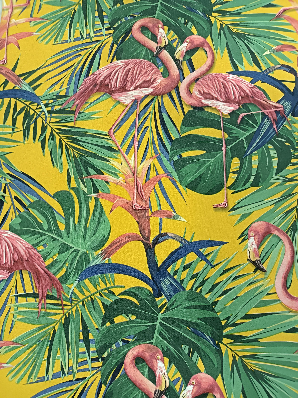 Pink Flamingos Tropical Wallpaper - 11168